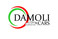 Logo Damoli Cars Verona di Damoli Alex